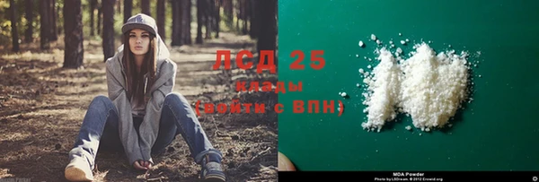 сатива Абинск