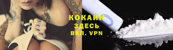 сатива Абинск